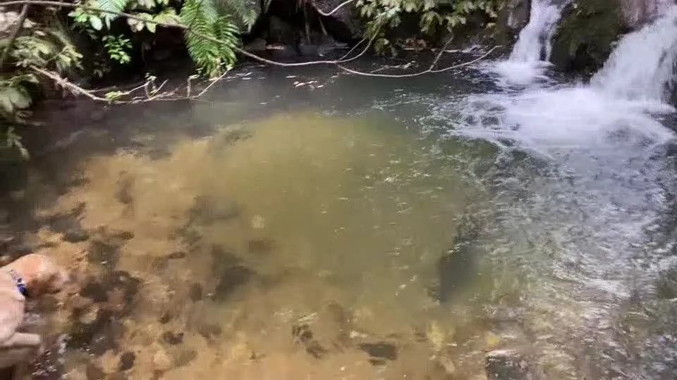 The sweet pool.