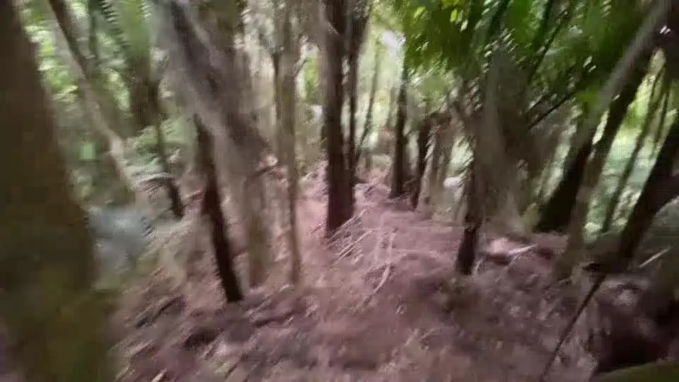 The old track between the round-the-mountain route and the old Dubbo track.